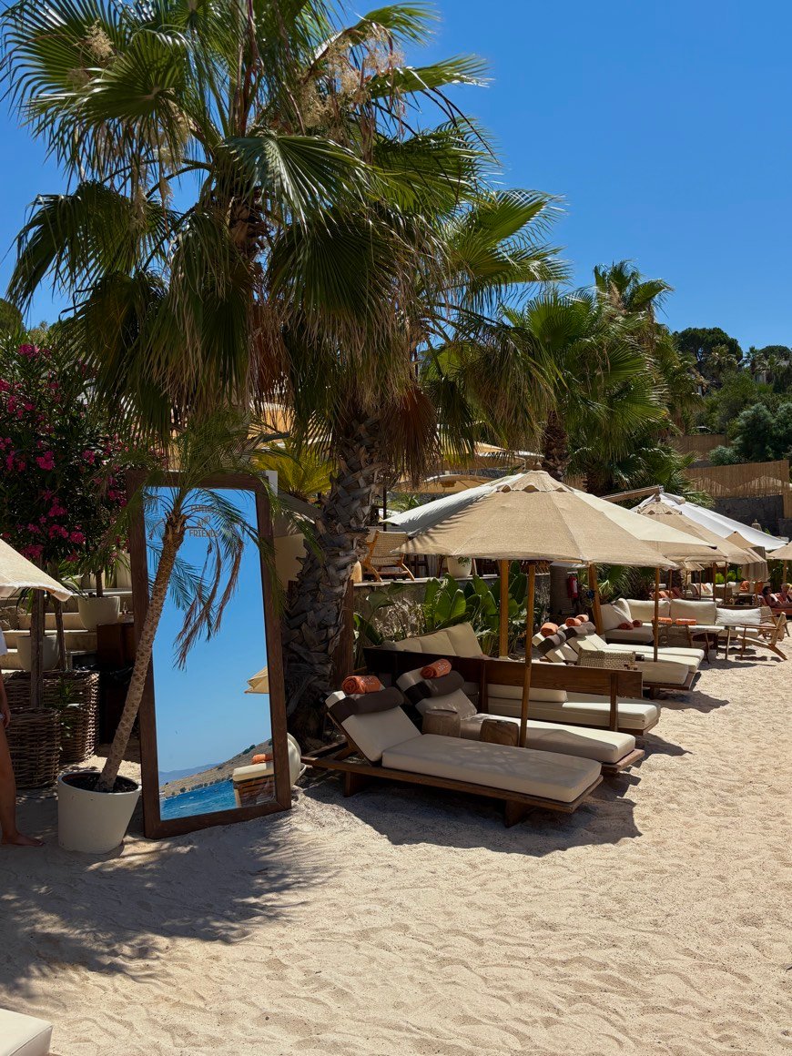 Sun loungers and palm trees at a beach club